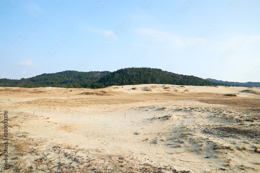 Sindu-ri Coastal Sand Hills in Taean-gun, South Korea. Sindu-ri Coastal Sand Hills in Taean-gun, South Korea.