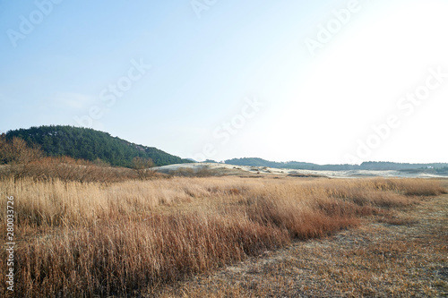 Sindu-ri Coastal Sand Hills in Taean-gun  South Korea.