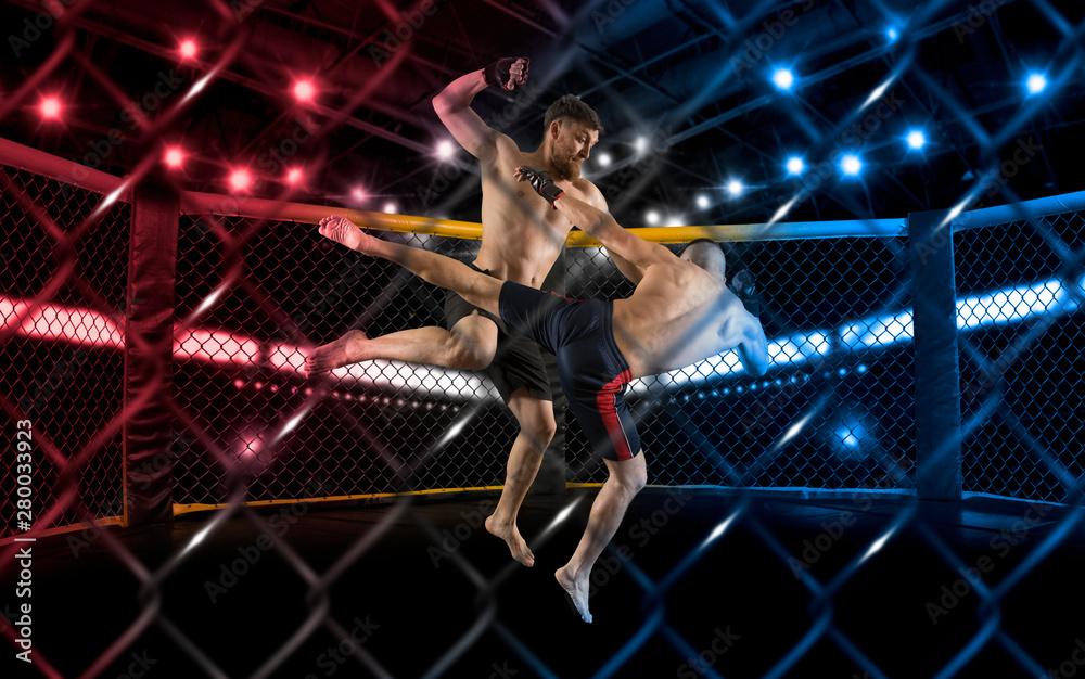 MMA boxers fighters fight in fights without rules MMA boxers fighters fight in fights without rules