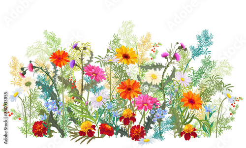 Horizontal autumn’s border: marigold, thistles, gerbera, daisy flowers, small green twigs, red berries on white background. Digital draw, illustration in watercolor style, panoramic view, vector