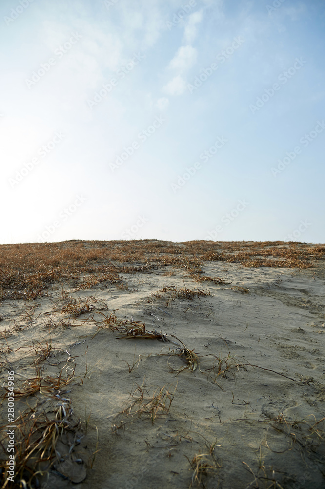 Sindu-ri Coastal Sand Hills in Taean-gun, South Korea. Sindu-ri Coastal Sand Hills in Taean-gun, South Korea.