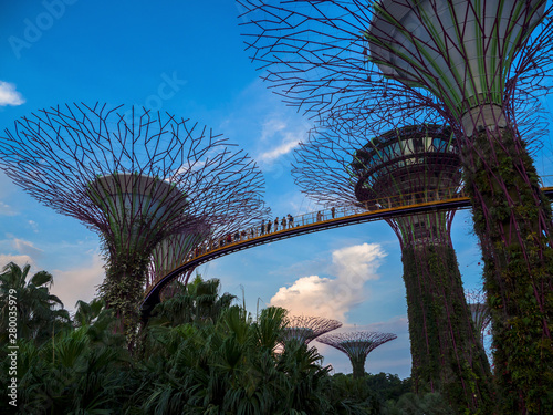 Singapore gardens of the Bay © Juergen Rudorf