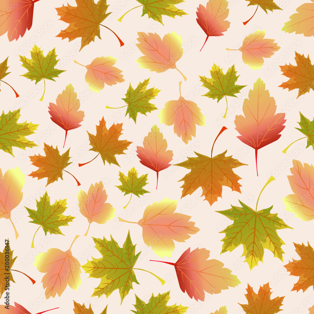 Fototapeta premium leaves maple trees pattern autumn seamless background color illustration