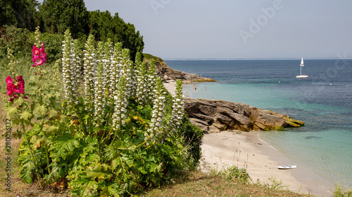 beach in Groix