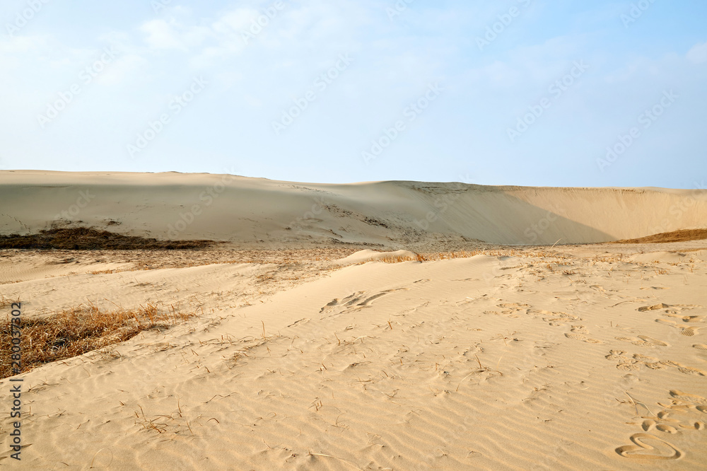 Sindu-ri Coastal Sand Hills in Taean-gun, South Korea. Sindu-ri Coastal Sand Hills in Taean-gun, South Korea.