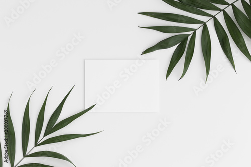 Top view of a white card mockup with palm leaf decoration on a white table. © Snoflinga