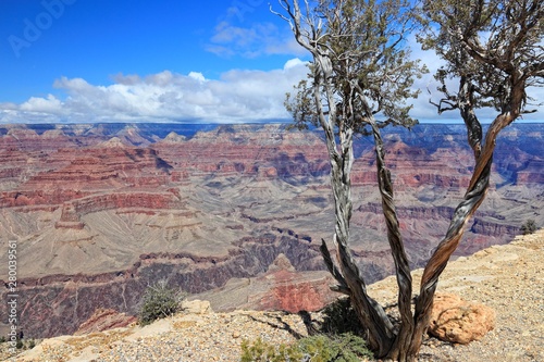 Grand Canyon National Park