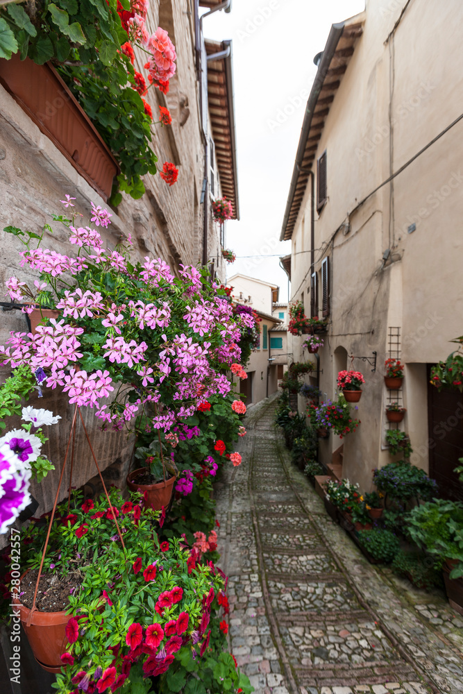 The village of Spello in Italy
