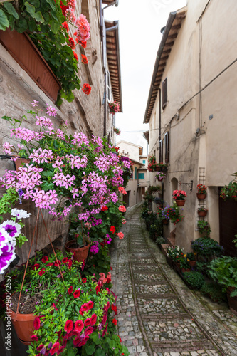 Fototapeta Naklejka Na Ścianę i Meble -  The village of Spello in Italy