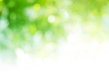 Green background for people who want to use graphics advertising.