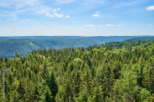 Panoramic view over Black Forest in Germany