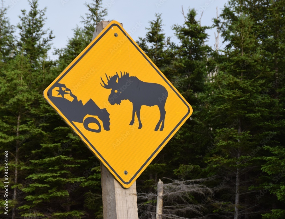 moose crossing warning sign, moose with crushed car yellow and black moose crossing warning sign, moose with crushed car yellow and black