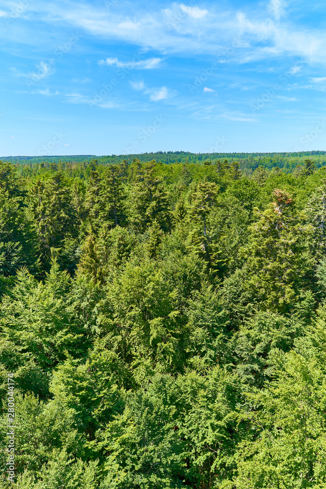 Panoramic view over Black Forest in Germany