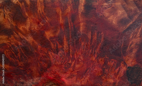 Nature MAFAN burl wood striped texture