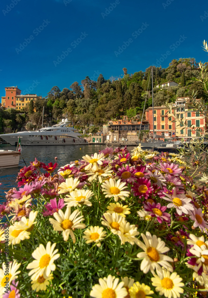 Pots of colorful summer flowers in Portofino