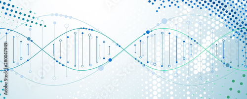 Science template, wallpaper or banner with a DNA molecules. Vector illustration.