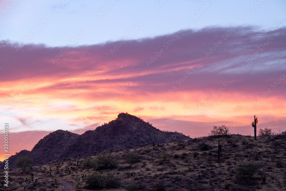A Sunset over a Saguaro Cactus in the Sonoran Desert of Arizona.