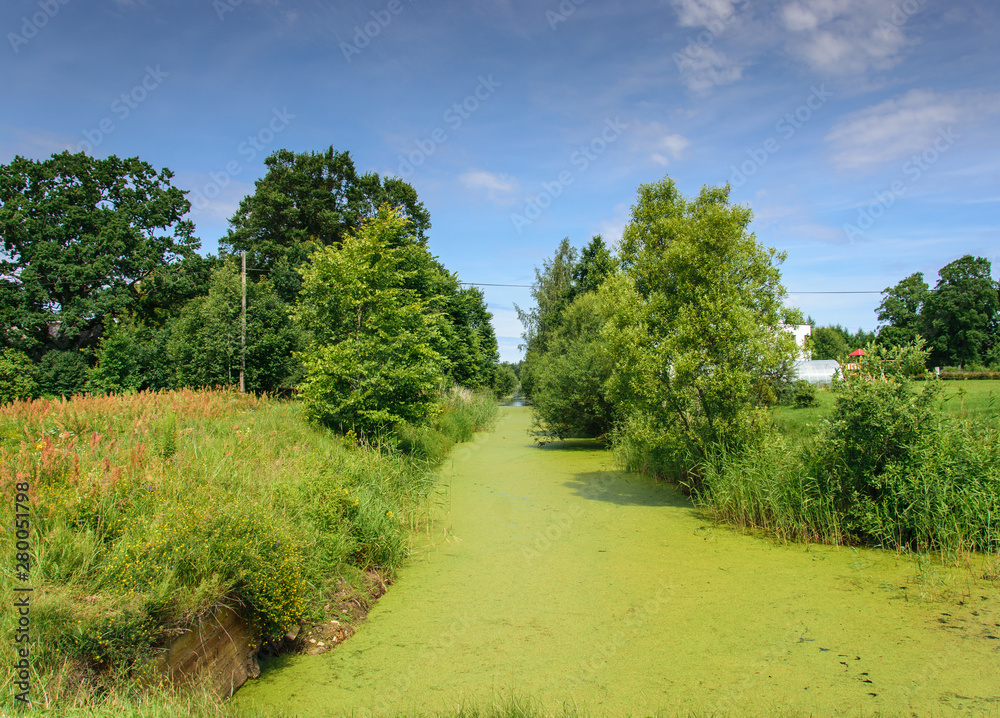 Overgrown grass Canal. Old marshy canal. Channel with standing water covered with mud. Overgrown grass Canal. Old marshy canal. Channel with standing water covered with mud.