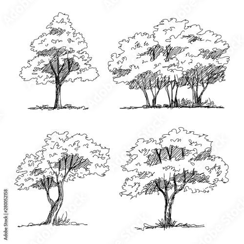 Set of hand drawn architect trees. Sketch Architectural illustration landscape