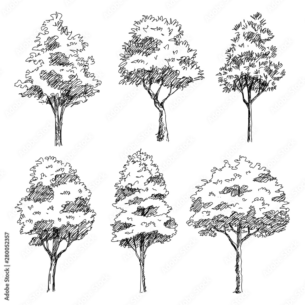 Set of hand drawn architect trees. Sketch Architectural illustration landscape