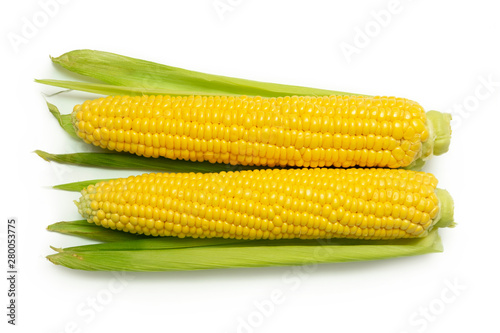 two cobs of sweet yellow corn on a white background with green leaves