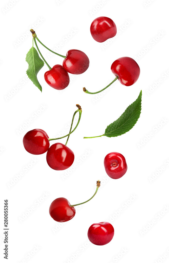 Set of flying ripe sweet cherries on white background Set of flying ripe sweet cherries on white background