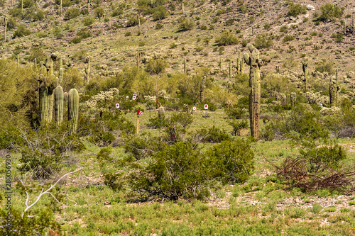 Steel targets at outdoor long distance shooting range