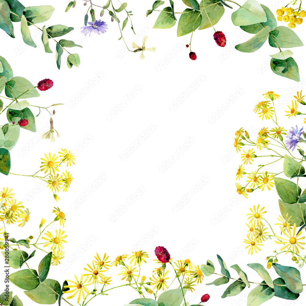 Watercolor frame of wild flowers and leaves Watercolor frame of wild flowers and leaves