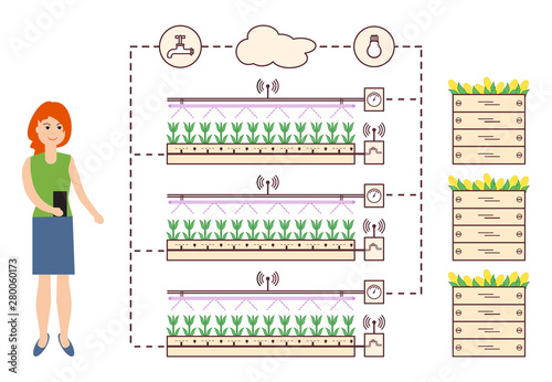 Woman controls the smart farm and agriculture.