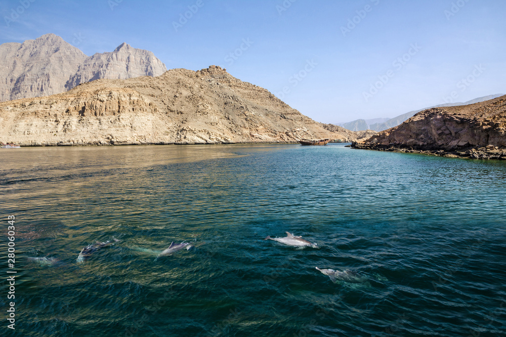 Dolphins and fjords sea view, Oman, Khasab. Musandam peninsula.
