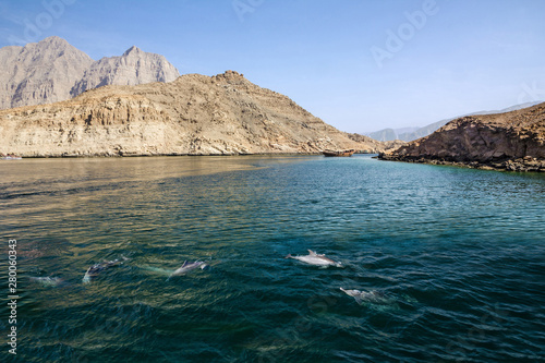 Dolphins and fjords sea view, Oman, Khasab. Musandam peninsula.