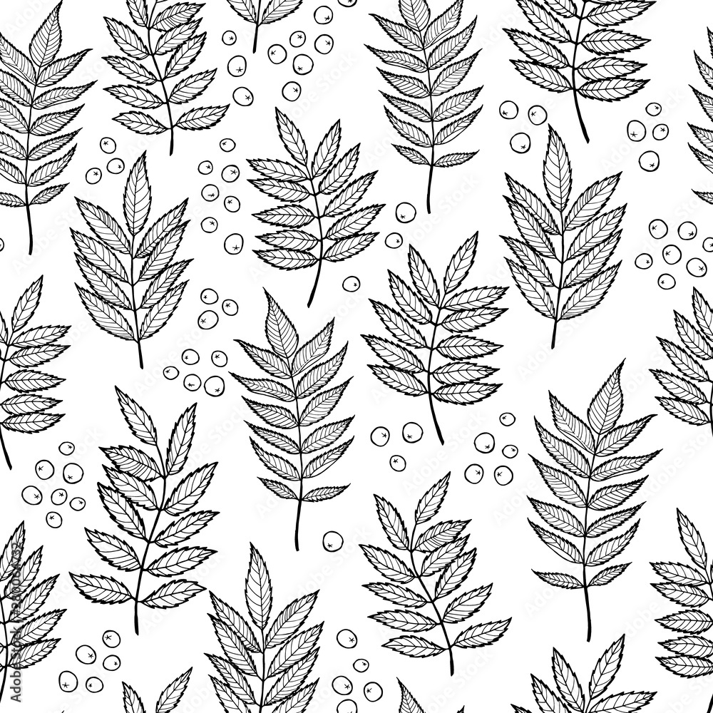 Rowan leaves. Vector seamless pattern. Hand drawn. Rowan leaves. Vector seamless pattern. Hand drawn.