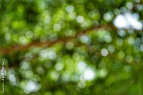 Abstract leaves, blurred images in Thailand © suwichan