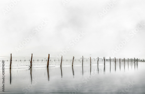 Foggy landscape in Marshes of Do  ana National Park. Spain. Wood in water