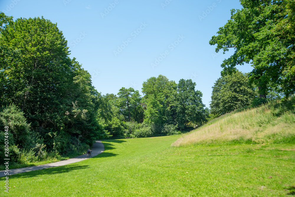 Park landscape. Summer green meadow with long lane Park landscape. Summer green meadow with long lane