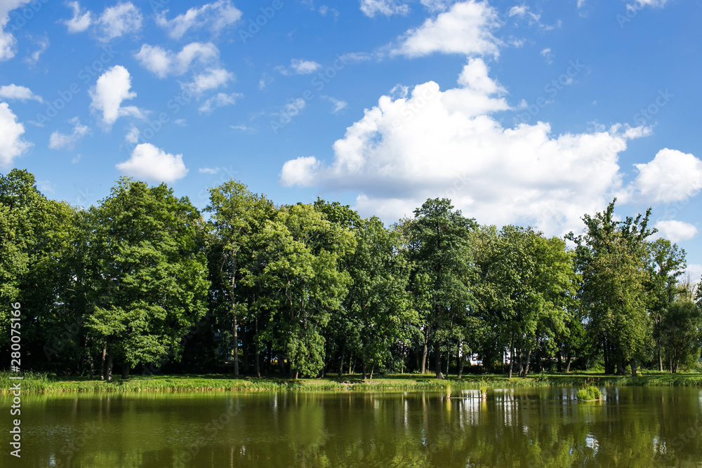 Fototapeta premium Summer lake in forest landscape. Blue cloudy sky over water surface panoramic view.
