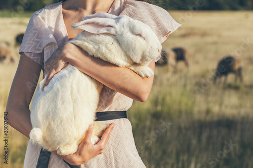 White rebbit in woman hands, cruelty free,  not tested on animals concept