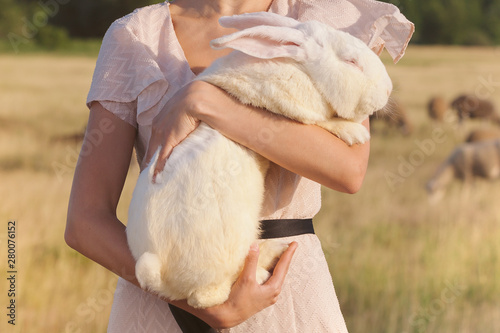 White rebbit in woman hands, cruelty free,  not tested on animals concept