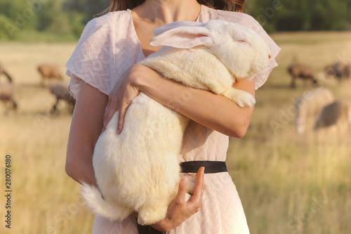 White rebbit in woman hands, cruelty free,  not tested on animals concept