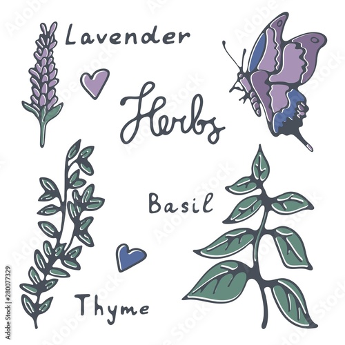 Stylish herbs collection with hand lettering. Ideal for creative projects