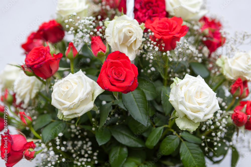 A bouquet of roses. Red and white roses i garden.