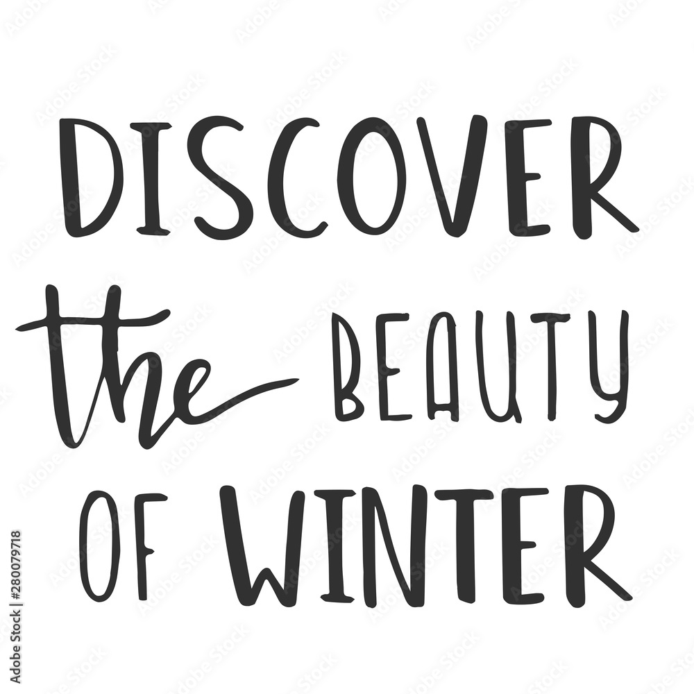 discover the beauty of winter 