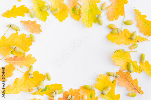 Flat lay composition with colorful autumn leaves and acorns on a white background