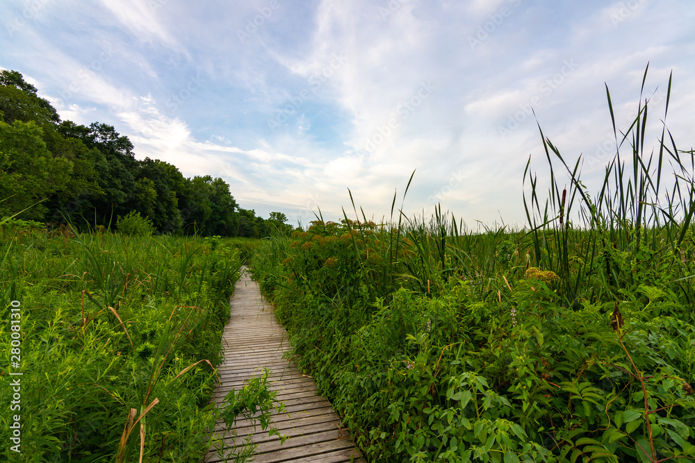 Wooden path at sunrise