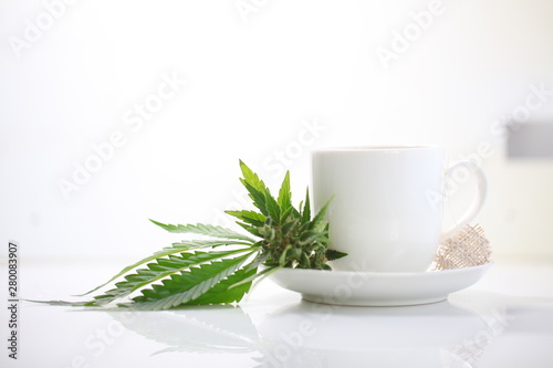 hemp tea . medical cannabis leaf