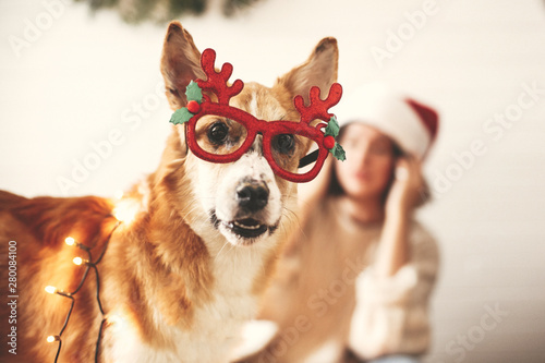 Canvas Print Cute golden dog in festive reindeer glasses with antlers looking with funny emotions in christmas lights on background of smiling girl in santa hat