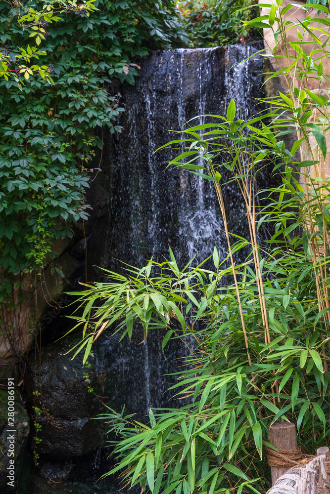 Fototapeta premium Wasserfall mit Bambus