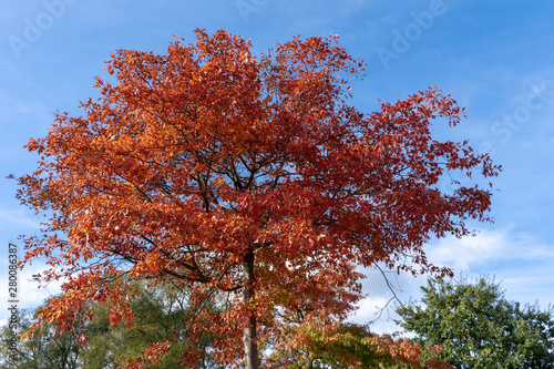 Pelzerhaken im Herbst 2018 photo