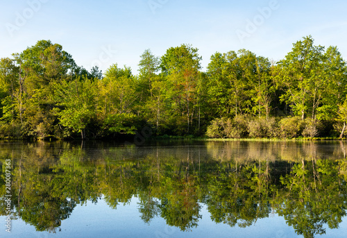 Green Trees Reflecting in Lake