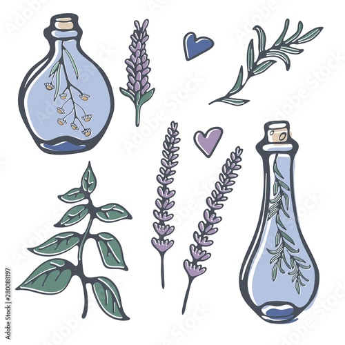 Stylish herbs collection with hand lettering. Ideal for creative projects